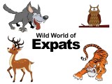 Guest Post: Wild World of&nbsp;Expats